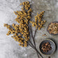 ARTIFICIAL SEDGE WINTER, SAFFRON - *Pre-order* SHIPPING July 2026
