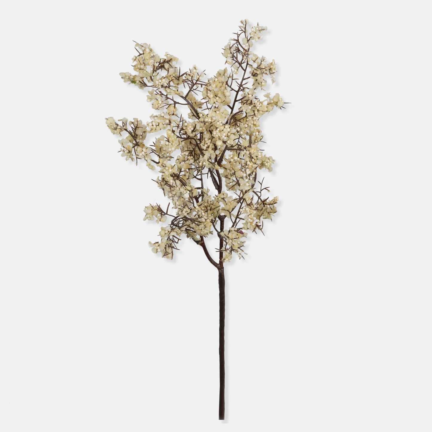 ARTIFICIAL SEDGE, WINTER DEW - *Pre-order* SHIPPING July 2026