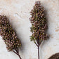 ARTIFICIAL SORGHUM, SUNRISE - *Pre-order* SHIPPING July 2026
