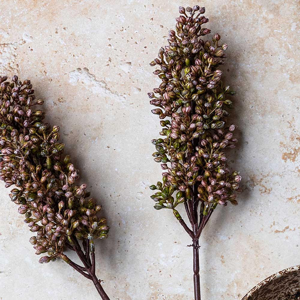 ARTIFICIAL SORGHUM, SUNRISE - *Pre-order* SHIPPING July 2026