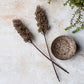 ARTIFICIAL SORGHUM, SUNRISE - *Pre-order* SHIPPING July 2026