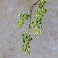 ARTIFICIAL VIBURNUM BRANCH