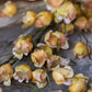 ARTIFICIAL WILD CANTERBURY BLOSSOM - *Pre-order* SHIPPING July 2026
