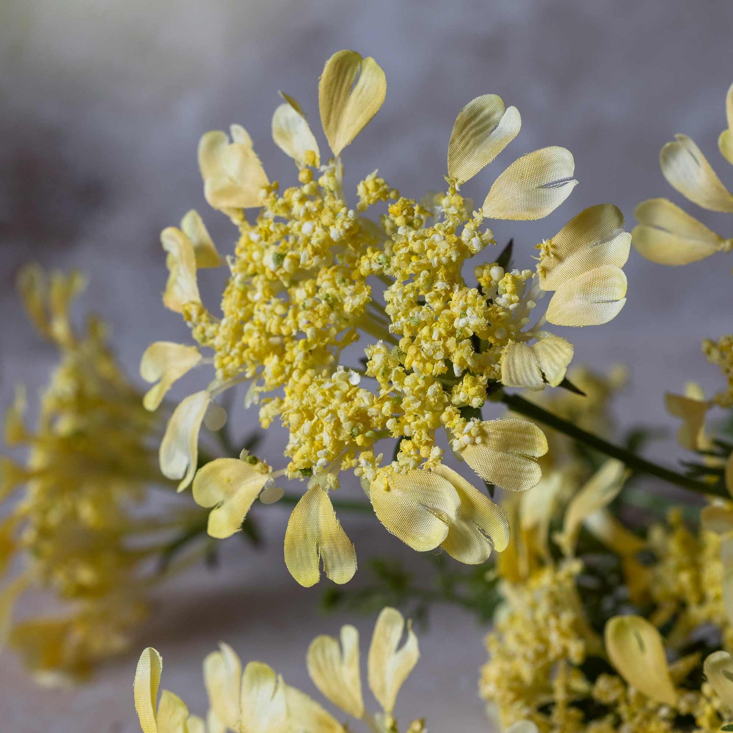 ARTIFICIAL WILD DILL