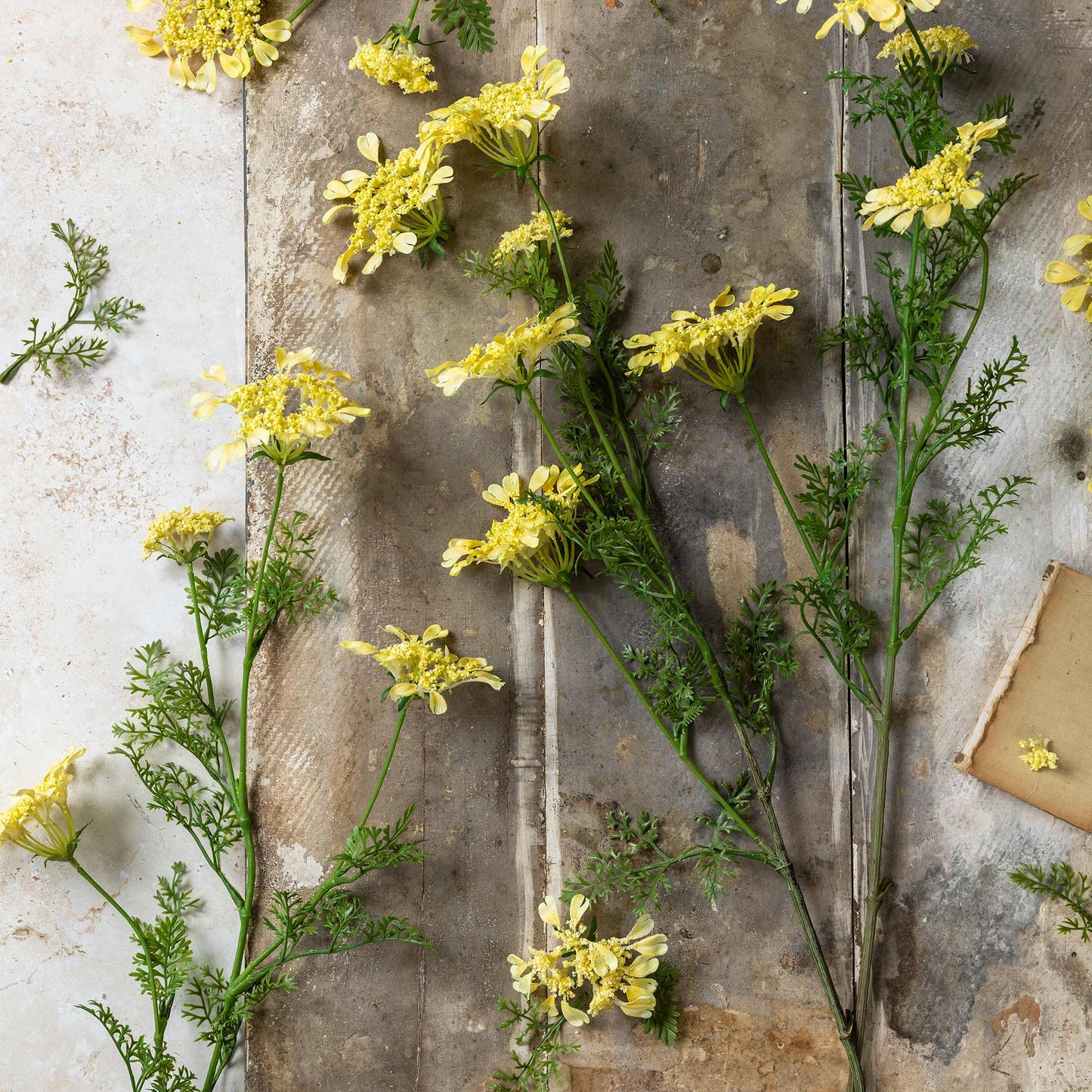 ARTIFICIAL WILD DILL