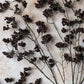 ARTIFICIAL WILD WINTER BERRY, CLARET - *Pre-order* SHIPPING MAY 2026