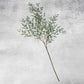 ARTIFICIAL WILLOW BRANCH - *Pre-order* SHIPPING July 2026