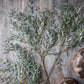 ARTIFICIAL WILLOW BRANCH - *Pre-order* SHIPPING July 2026