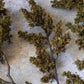 ARTIFICIAL WOODLAND BRANCH - *Pre-order* SHIPPING MAY 2026