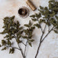 ARTIFICIAL WOODLAND BRANCH - *Pre-order* SHIPPING MAY 2026