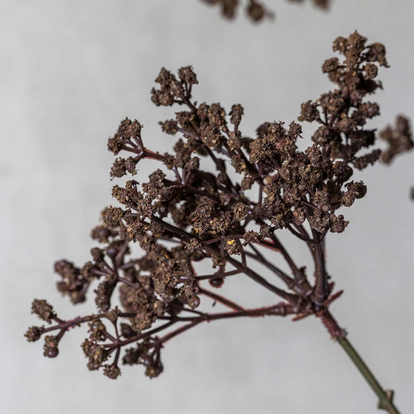 ARTIFICIAL WOODLAND YARROW - *Pre-order* SHIPPING MAY 2026
