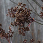 ARTIFICIAL WOODLAND YARROW - *Pre-order* SHIPPING MAY 2026