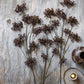 ARTIFICIAL WOODLAND YARROW - *Pre-order* SHIPPING MAY 2026