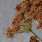 ARTIFICIAL YARROW BUNCH HENNA