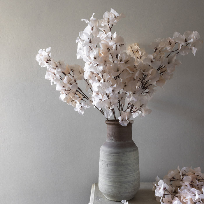 BOUGAINVILLEA BLUSH - LAST BOX