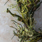 ARTIFICIAL FOREST WREATH - *Pre-order* SHIPPING July 2026