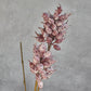 HEIRLOOM THISTLE - MAUVE