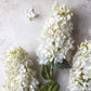 ARTIFICIAL HYDRANGEA PANICULATA, CREAM