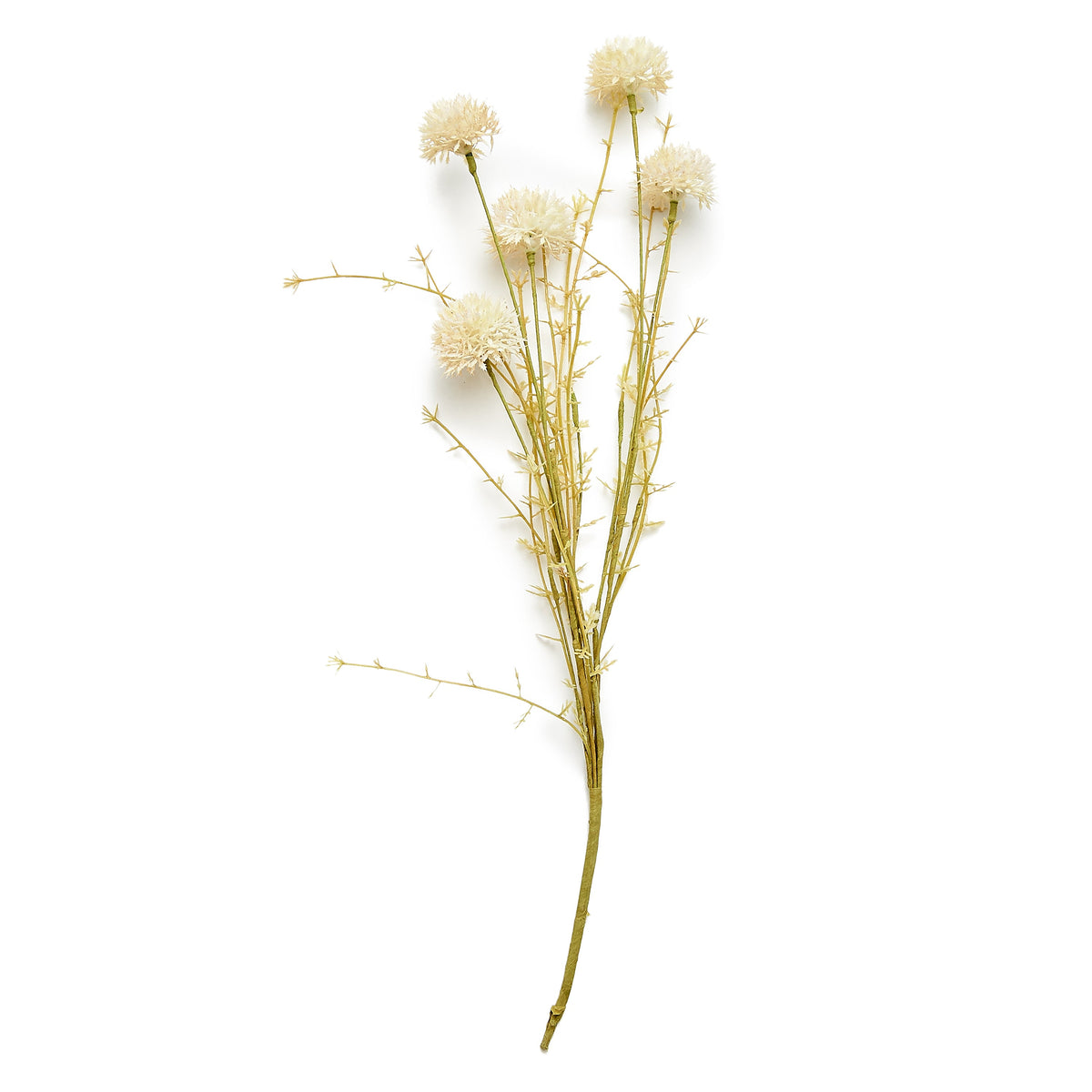 ARTIFICIAL MELALEUCA, CREAM - LAST FEW BOXES