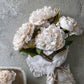 PEONY EVENING DEW *Pre order* Shipping JULY 2027
