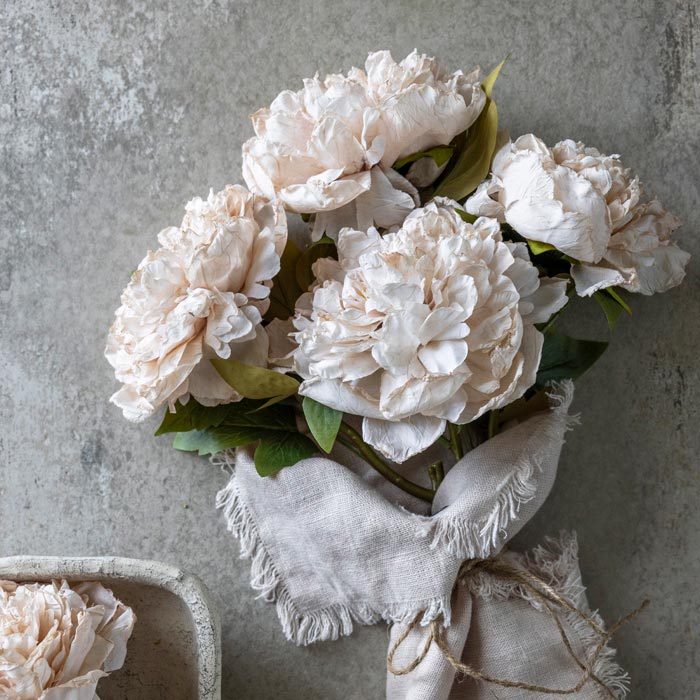 PEONY EVENING DEW *Pre order* Shipping JULY 2027