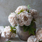 PEONY EVENING DEW *Pre order* Shipping JULY 2027