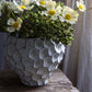 LADRIS CEMENT VASE