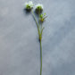 ARTIFICIAL SCABIOUS FLOWER, CREAM