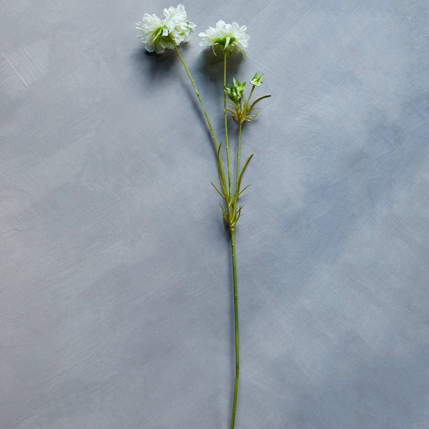 ARTIFICIAL SCABIOUS FLOWER, CREAM