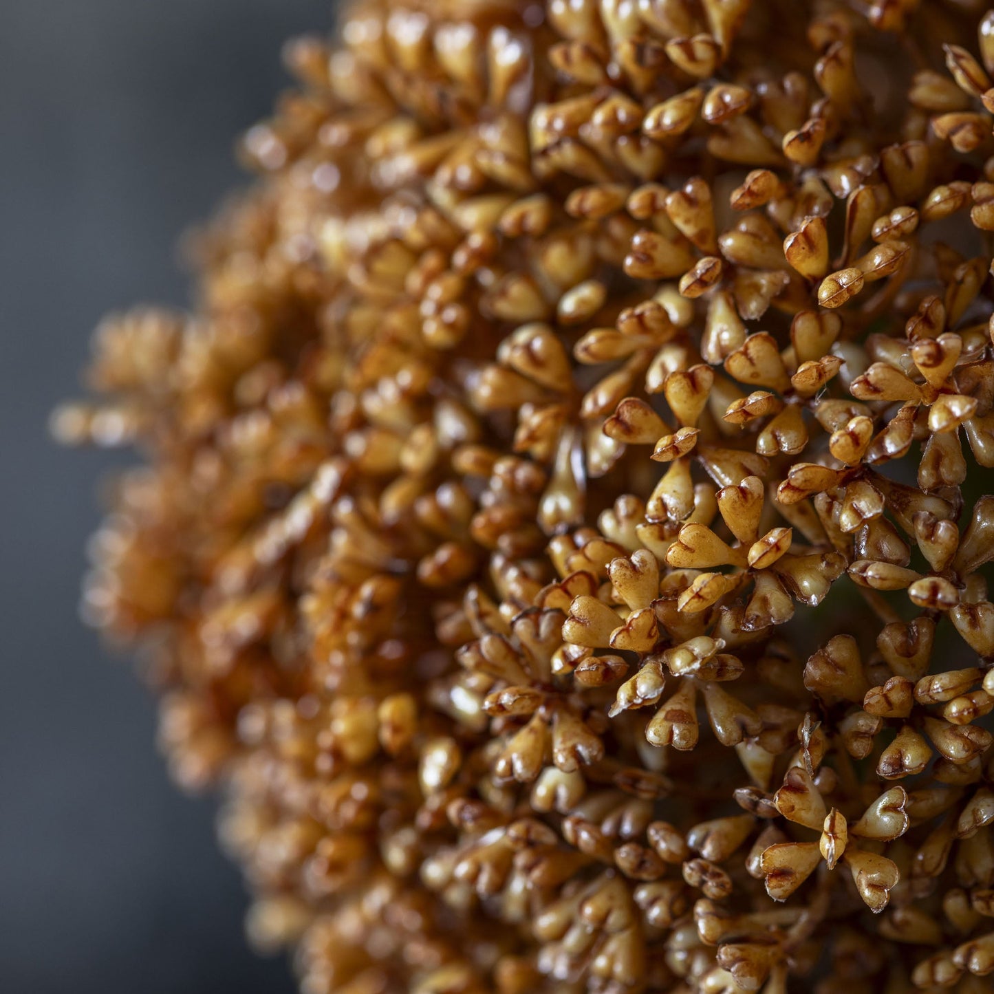 ARTIFICIAL ALLIUM, UMBER