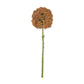 ARTIFICIAL ALLIUM, UMBER
