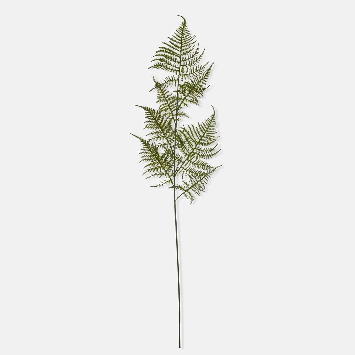 ARTIFICIAL ASPARAGUS FERN, FOREST - *PRE ORDER* Due Mid January 2027