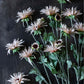 ARTIFICIAL CHRYSANTHEMUM BLUSH