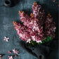 ARTIFICIAL CONE HYDRANGEA, SUNSET