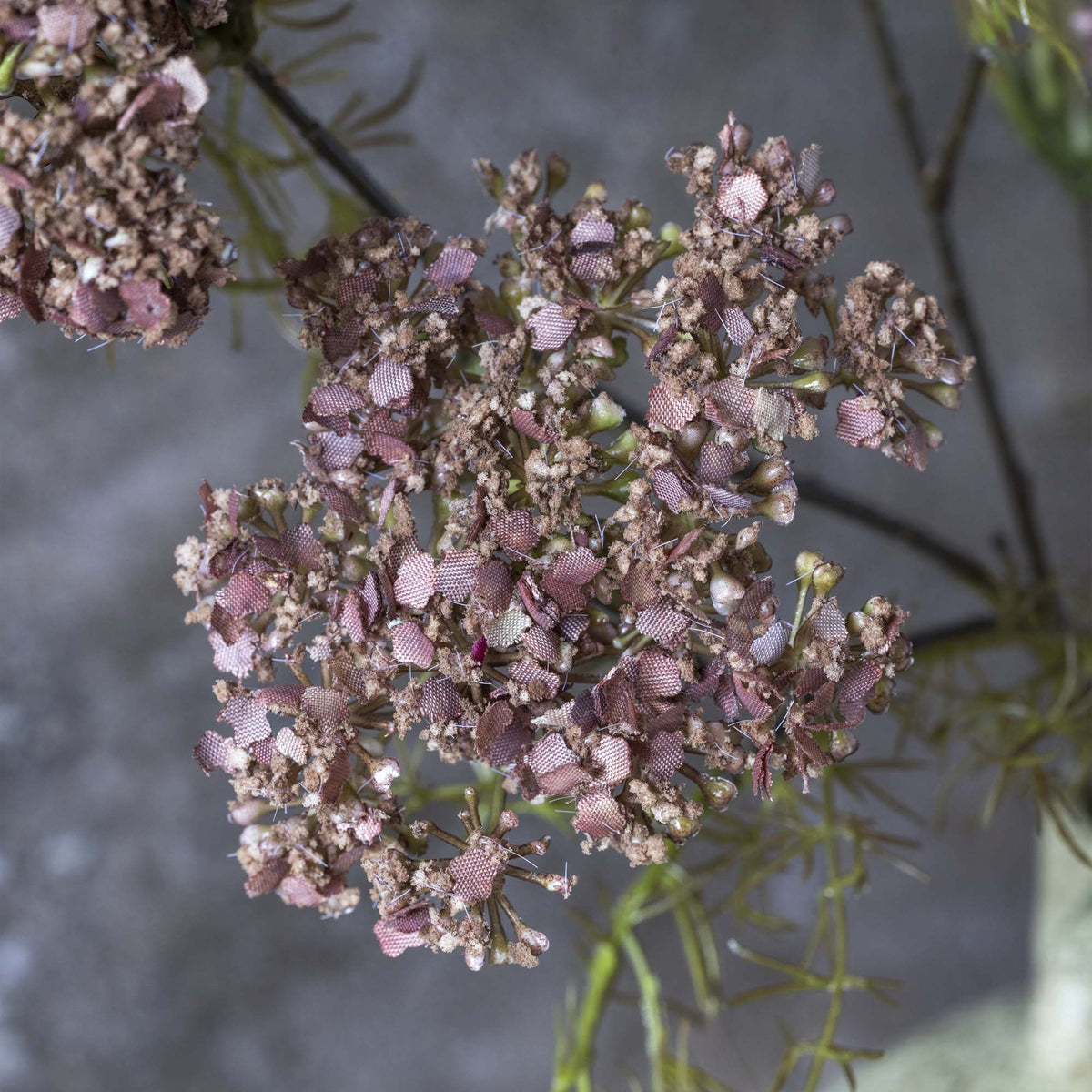 ARTIFICIAL DILL FLOWER - *PRE ORDER* Due Early January 2027