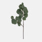 ARTIFICIAL EUCALYPTUS SILVER DOLLAR
