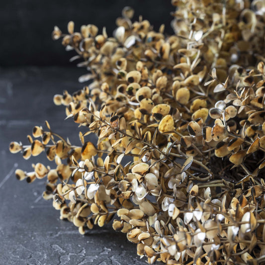 ARTIFICIAL EUCALYPTUS WREATH, DESERT - *Pre-order* SHIPPING July 2026