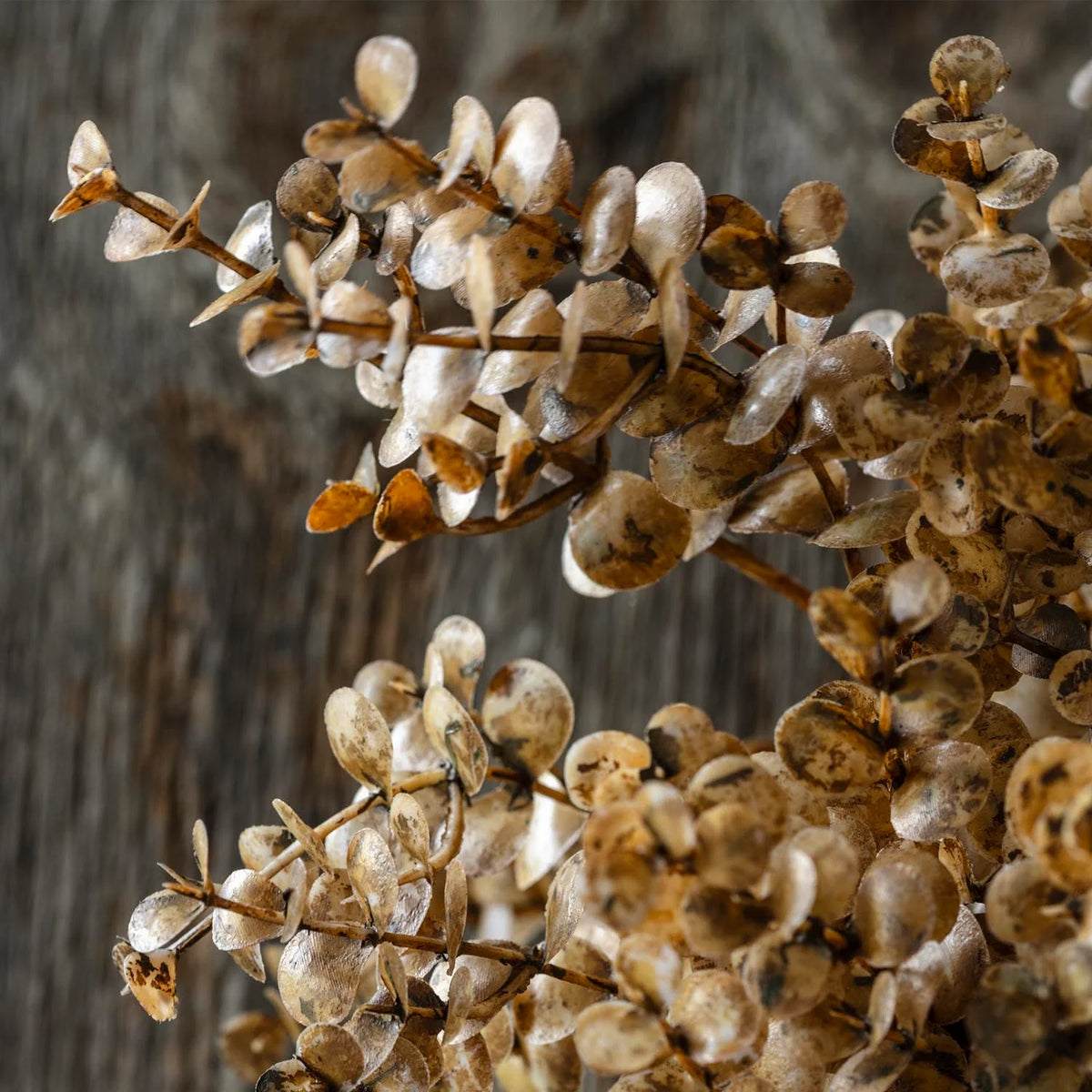 ARTIFICIAL EUCALYPTUS WREATH, SEPIA - *PRE ORDER* Due Mid November 2026