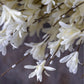 ARTIFICIAL FORSYTHIA WREATH