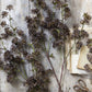 ARTIFICIAL HOGWEED - *Pre-order* SHIPPING July 2026
