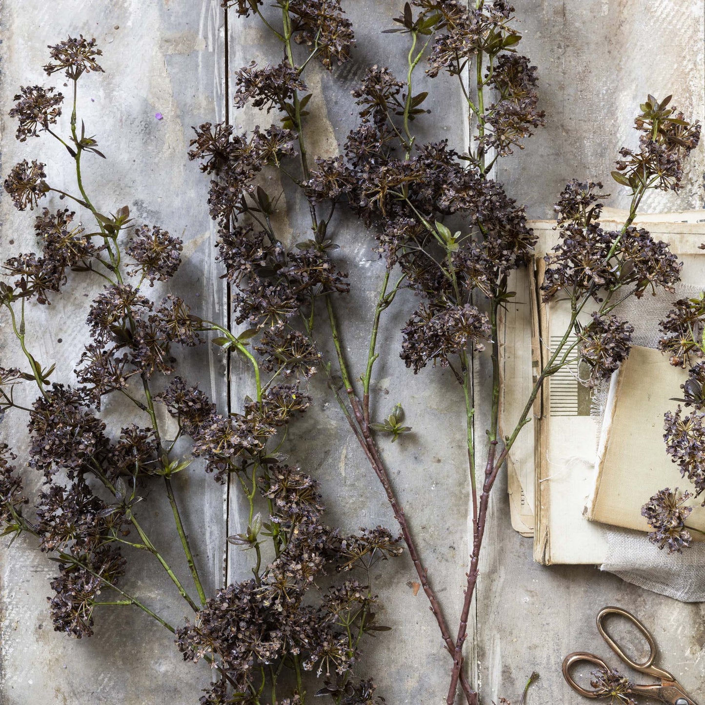 ARTIFICIAL HOGWEED - *Pre-order* SHIPPING July 2026