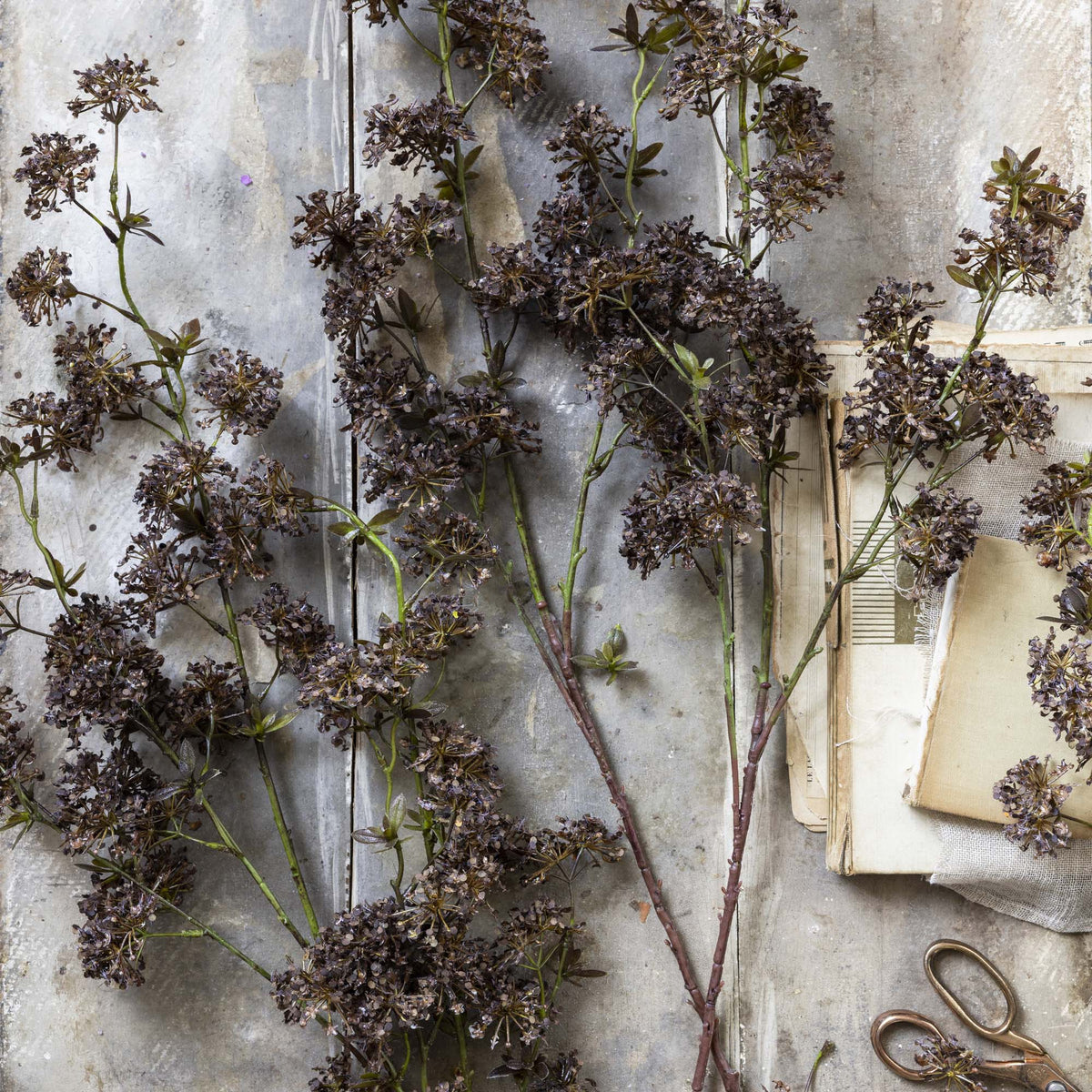 ARTIFICIAL HOGWEED -