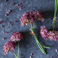 ARTIFICIAL HORTENSIA BUNCH