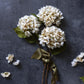 ARTIFICIAL HYDRANGEA, MORNING MIST - LARGE - *Pre-order* SHIPPING July 2026