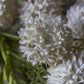 ARTIFICIAL MELALEUCA, CREAM - LARGE - *Pre-order* SHIPPING June 2026