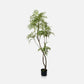 ARTIFICIAL PARLOUR PALM - *Pre-order* - SHIPPING JULY 2026