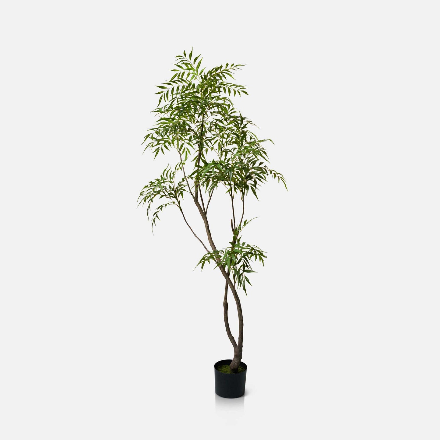 ARTIFICIAL PARLOUR PALM - *Pre-order* - SHIPPING JULY 2026
