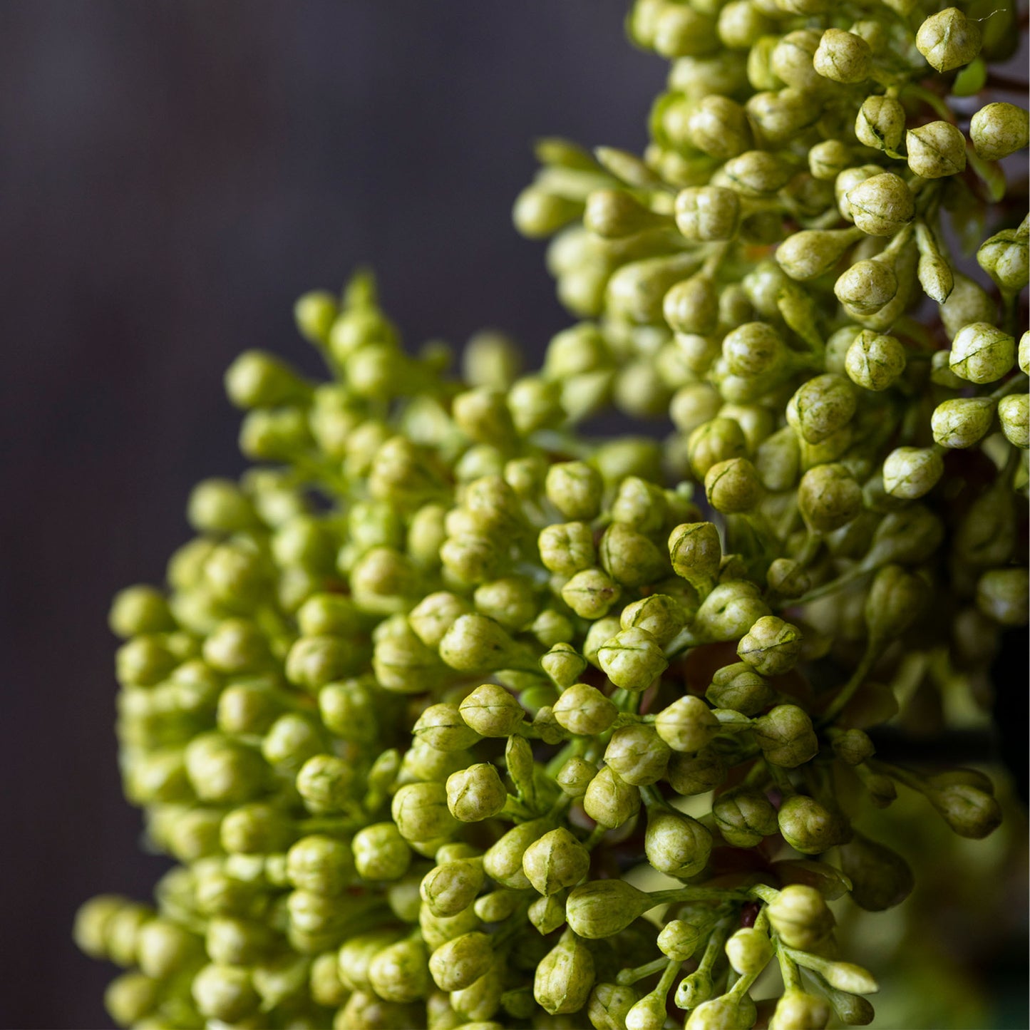 ARTIFICIAL VIBURNUM * OLIVE