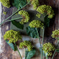 ARTIFICIAL VIBURNUM * OLIVE