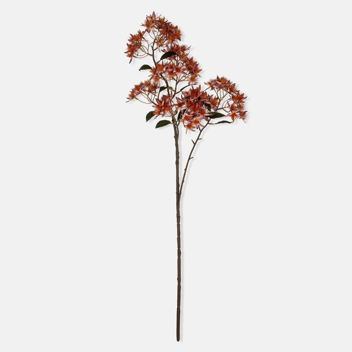 ARTIFICIAL WILD ASTRANTIA BRANCH - *PRE ORDER* Due Early January 2027
